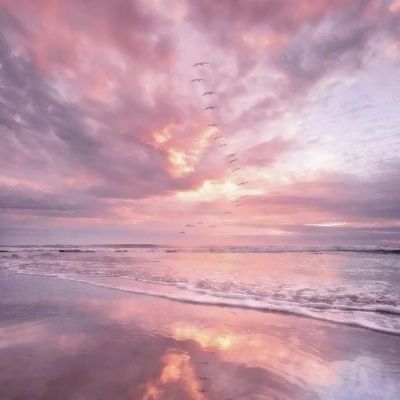 m6米乐官方app下载